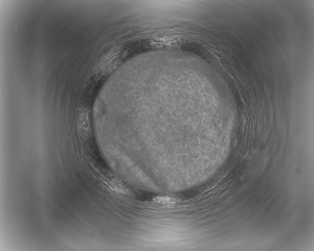 X0000051880699200507221950