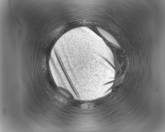 X0000051880700200507221950