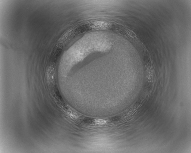 X0000051880701200507221950