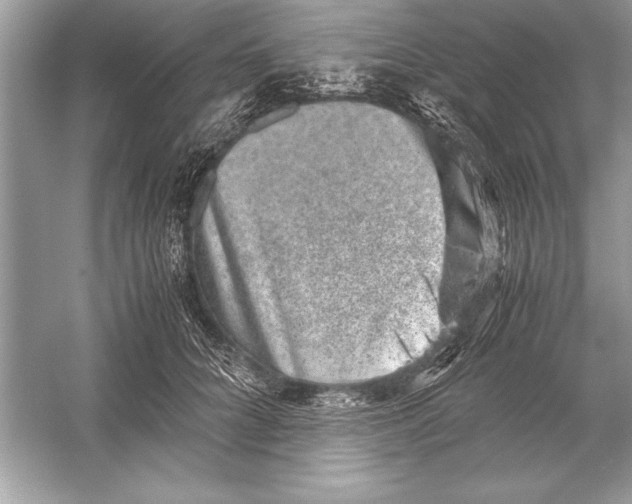 X0000051880704200507221950