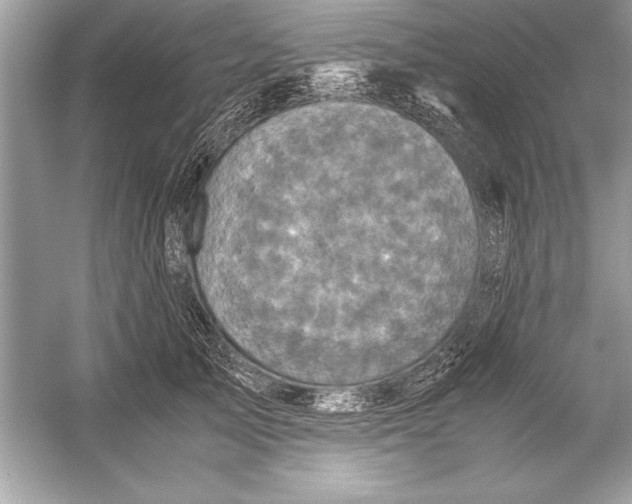 X0000051880705200507221950