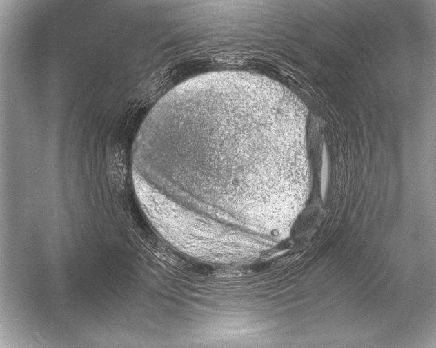 X0000051880707200507221950