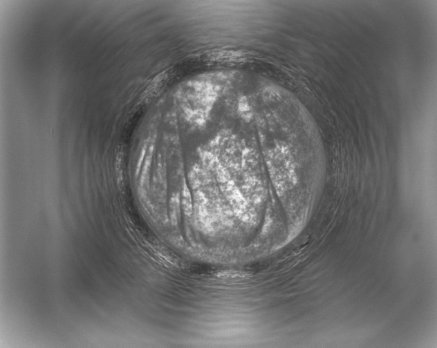 X0000051880708200507221950