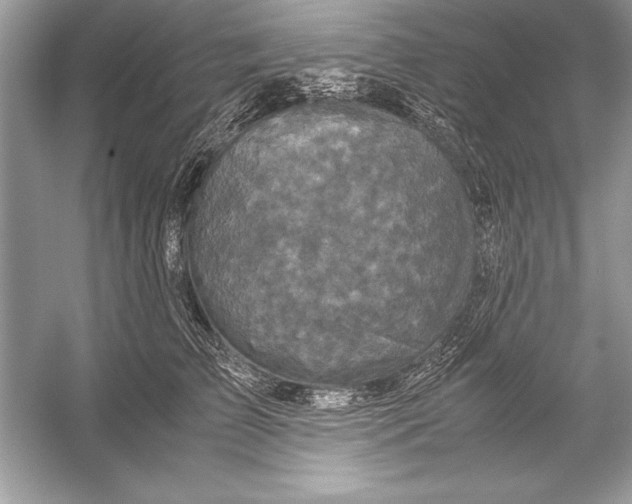 X0000051880709200507221950