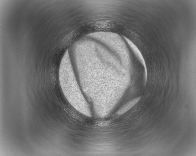 X0000051880710200507221950