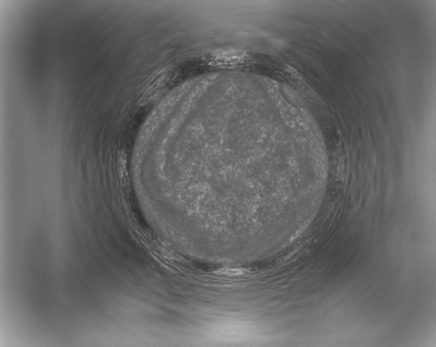 X0000051880711200507221949