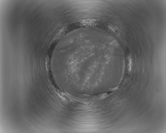 X0000051880712200507221949