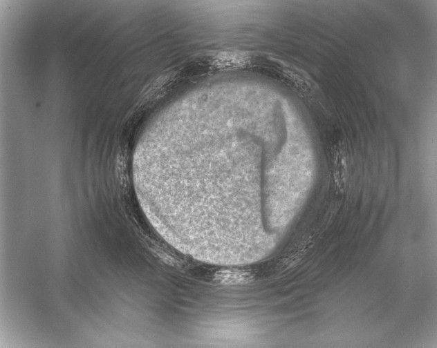 X0000051880714200507221949