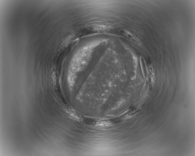 X0000051880716200507221949