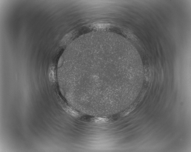 X0000051880718200507221949