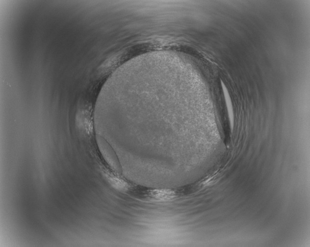 X0000051880719200507221949