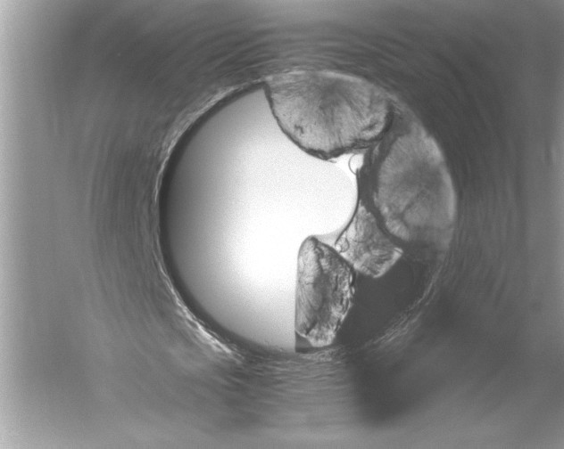 X0000051880721200507221949