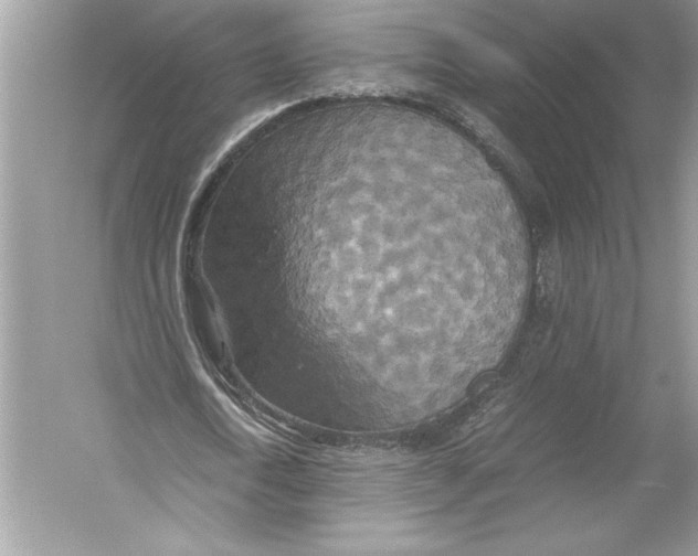 X0000051880722200507221949