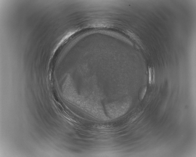 X0000051880723200507221949