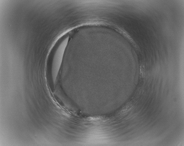 X0000051880724200507221949