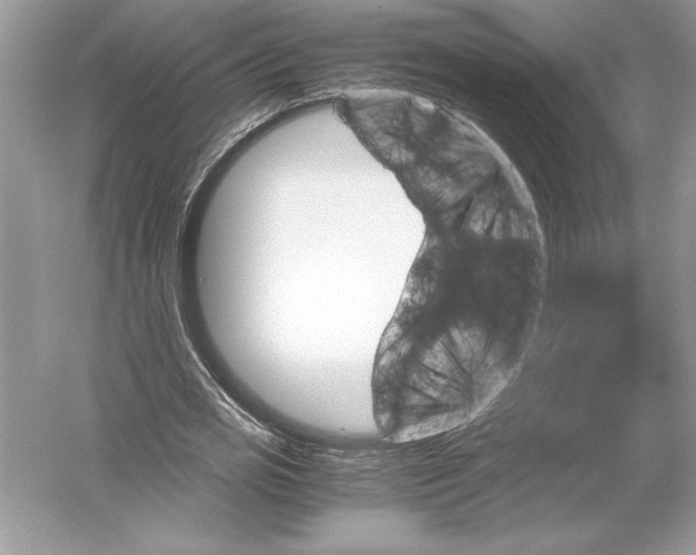 X0000051880725200507221949