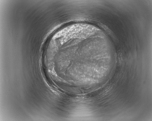 X0000051880728200507221949