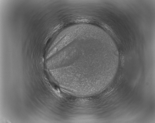 X0000051880729200507221949