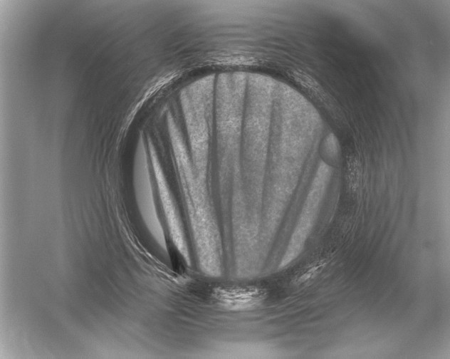 X0000051880731200507221949