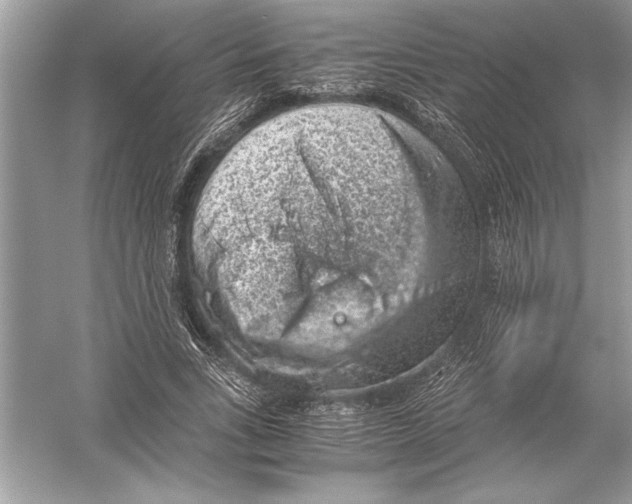 X0000051880735200507221949