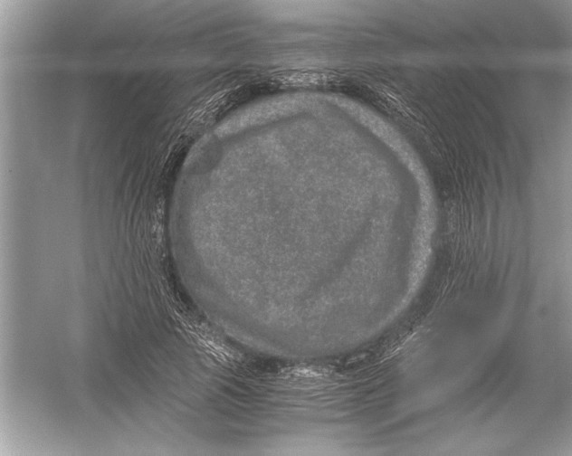 X0000051880737200507221949