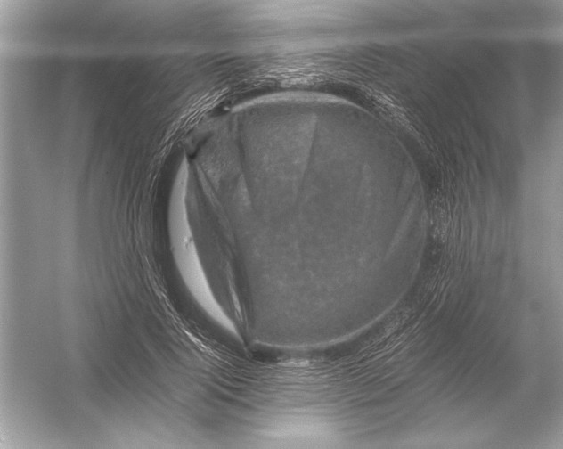 X0000051880740200507221949