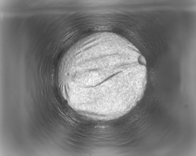 X0000051880741200507221949