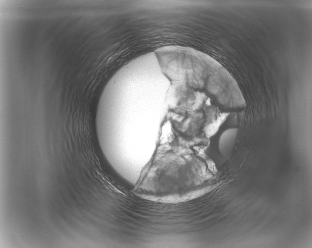 X0000051880745200507221949