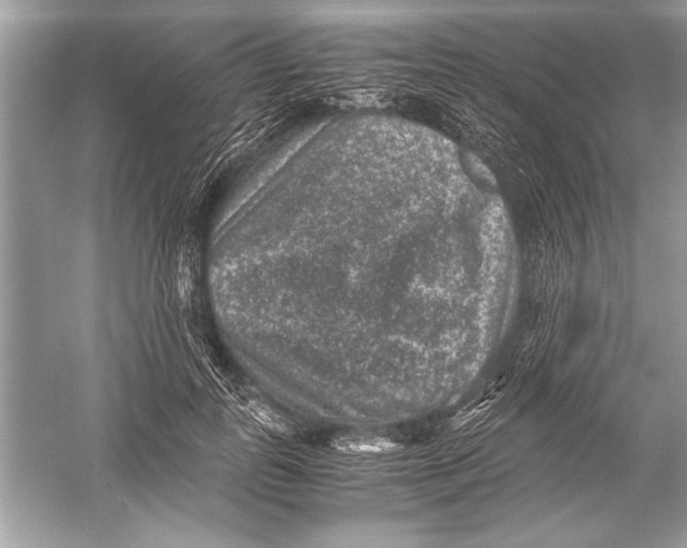 X0000051880747200507221949