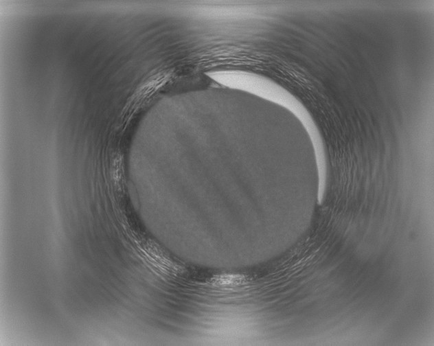 X0000051880748200507221949