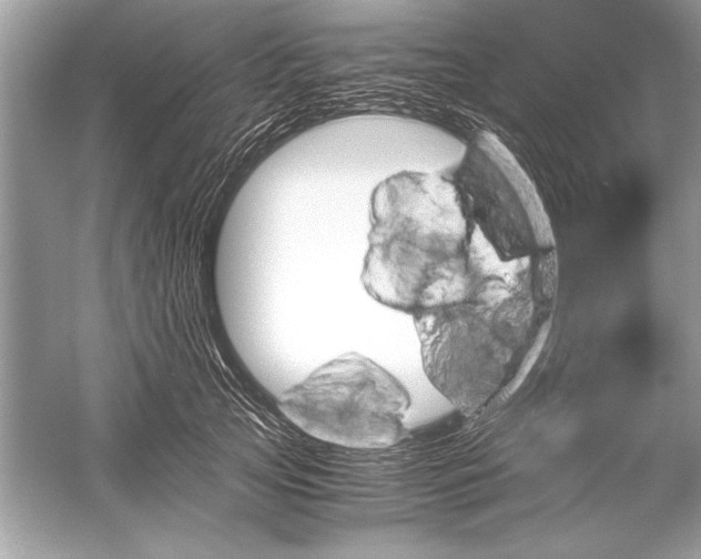 X0000051880753200507221949