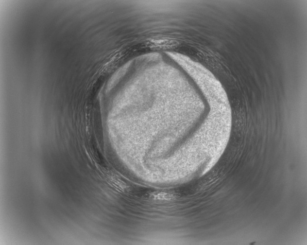 X0000051880755200507221949