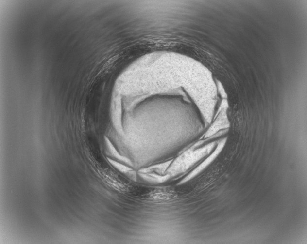 X0000051880756200507221949