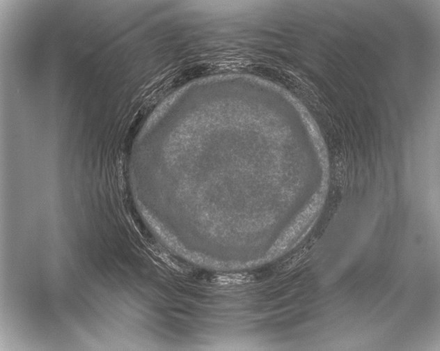 X0000051880757200507221949