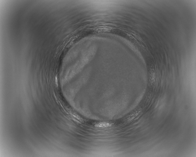 X0000051880759200507221949