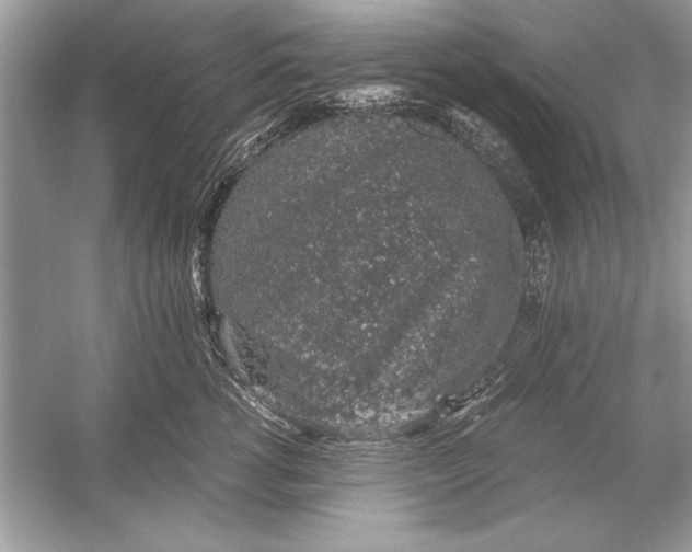 X0000051880762200507221949