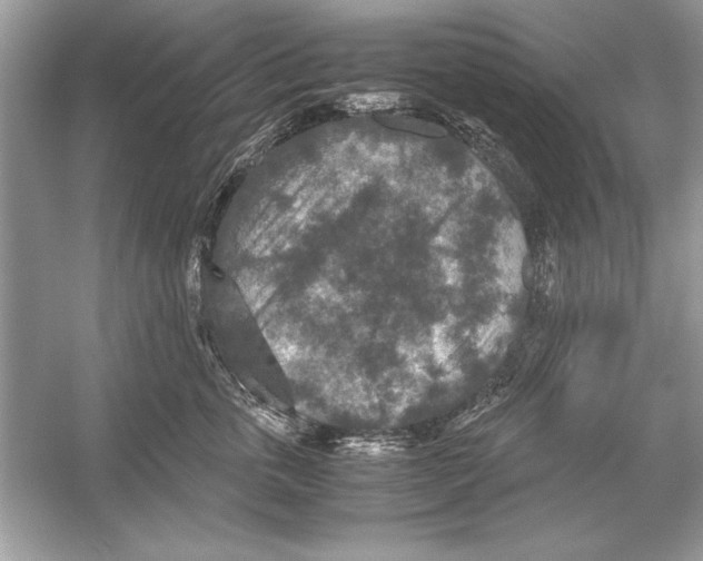 X0000051880763200507221949