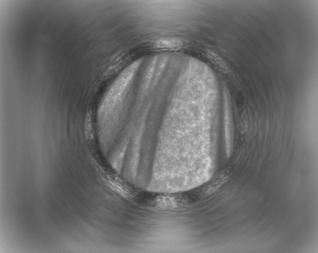 X0000051880764200507221949