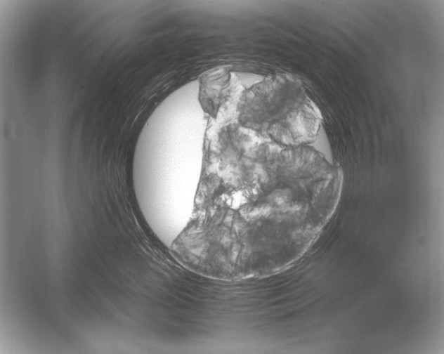 X0000051880765200507221949