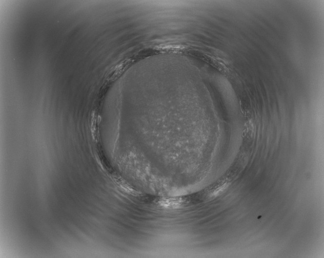 X0000051880767200507221949