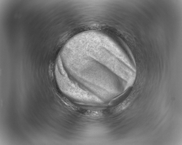 X0000051880768200507221949