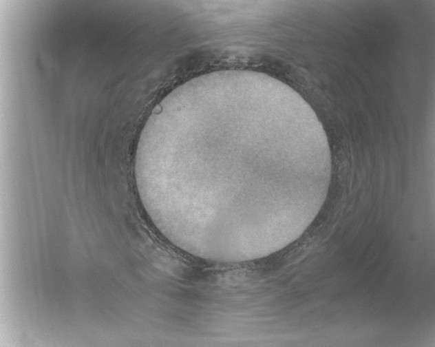 X0000051880769200507221949