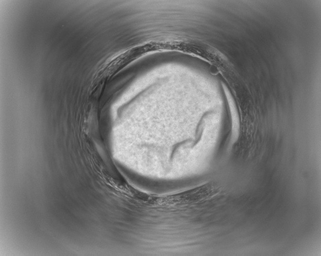 X0000051880773200507221948