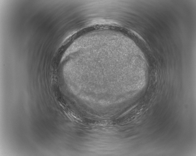 X0000051880775200507221948