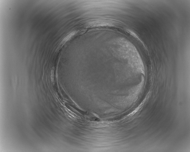 X0000051880777200507221948