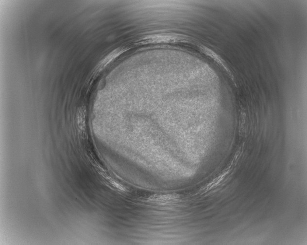 X0000051880778200507221948