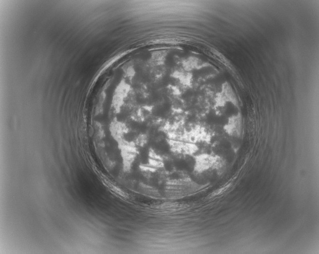 X0000051880779200507221948