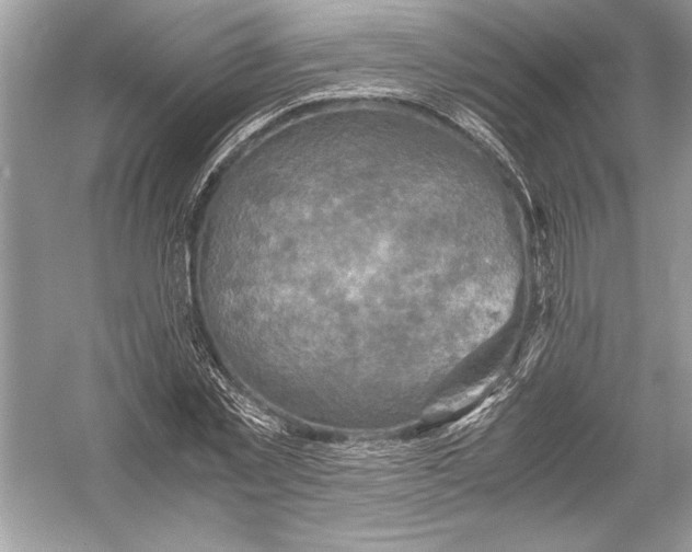 X0000051880781200507221948