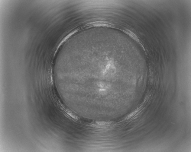 X0000051880782200507221948