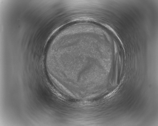 X0000051880783200507221948